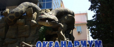Морская звезда курортный комплекс